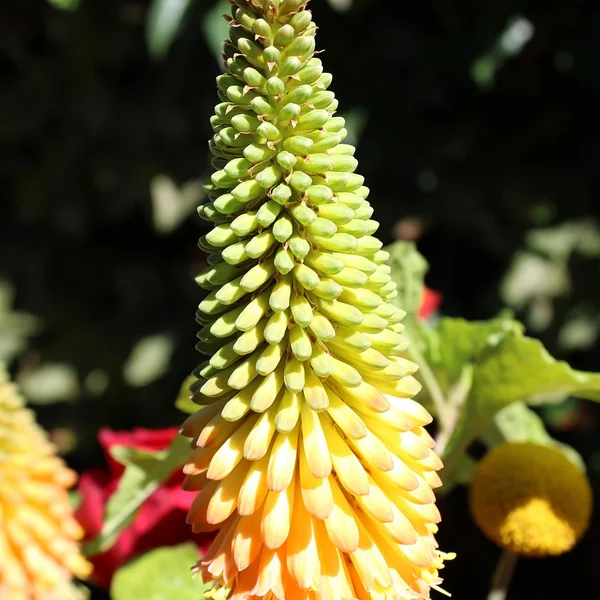 壹号娱乐百家乐游戏